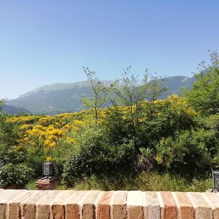 Luci Sui Monti Bed and Breakfast Sarnano Buitenkant foto