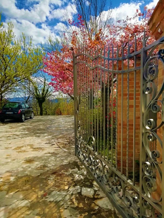 Luci Sui Monti Bed and Breakfast Sarnano Buitenkant foto